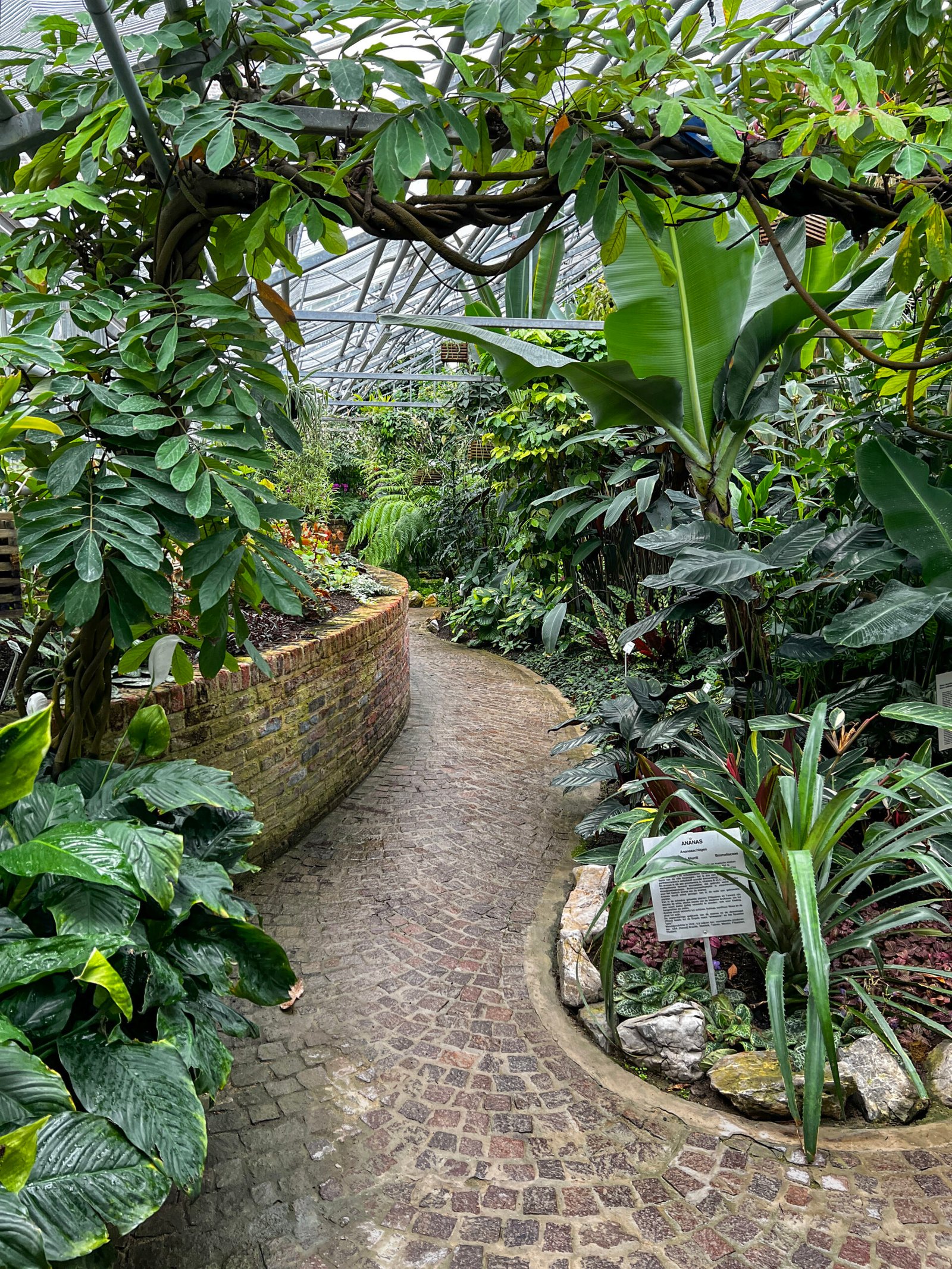 De Kruidtuin van Leuven langs binnen