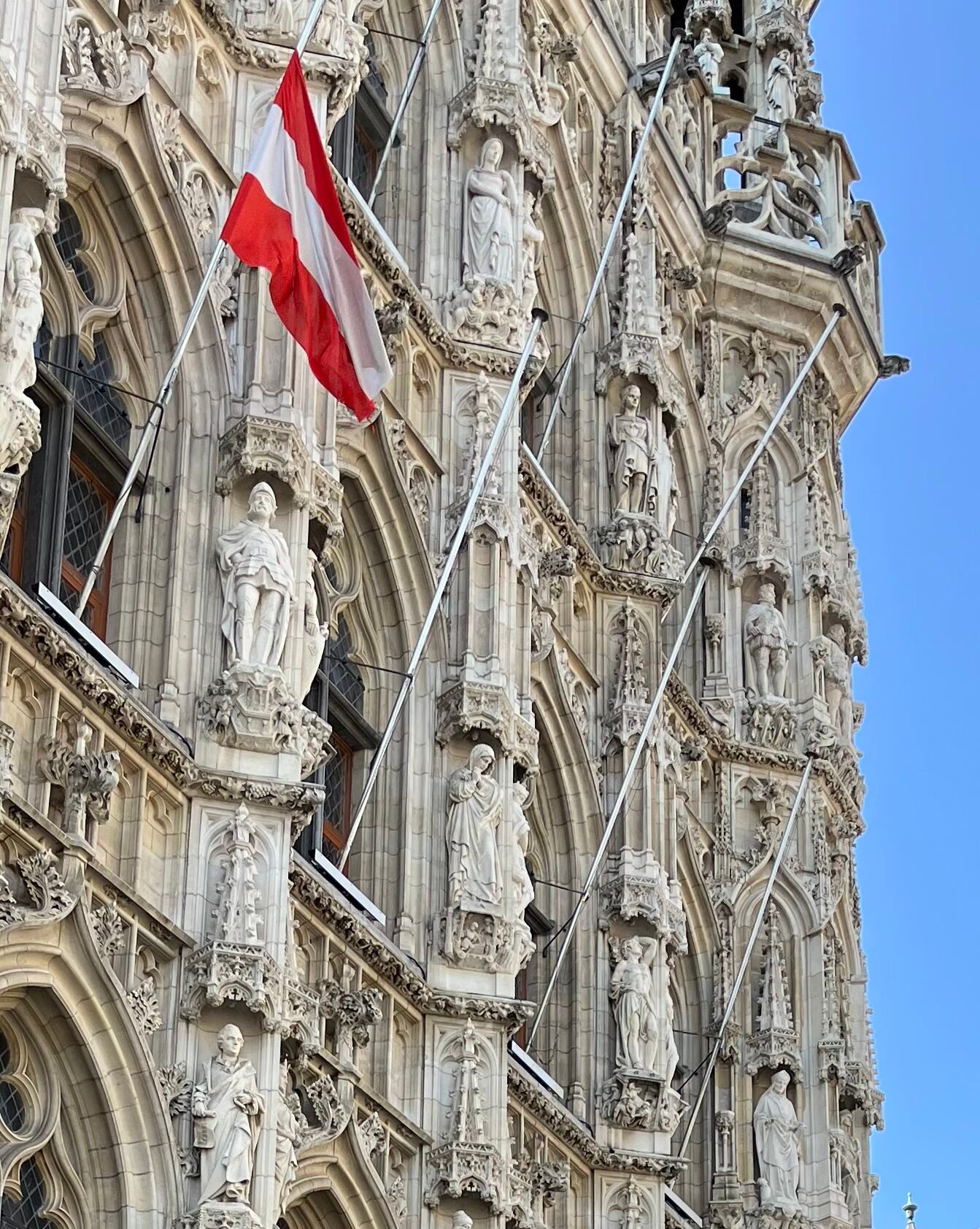 IMG 3514